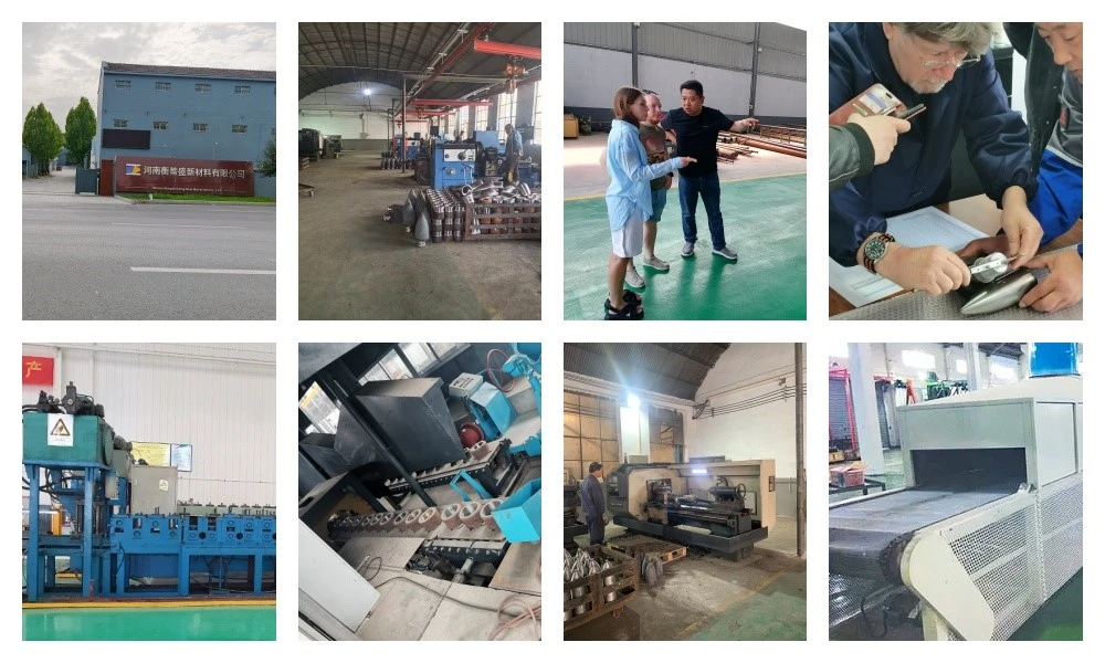 Hengdisheng Plant Hengdisheng Plant